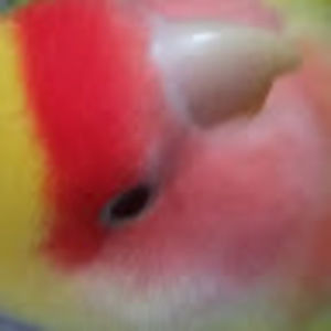 Meet your Posher, Ethan